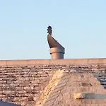 Donatella Cisternino