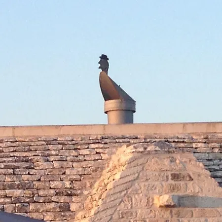 Donatella Cisternino